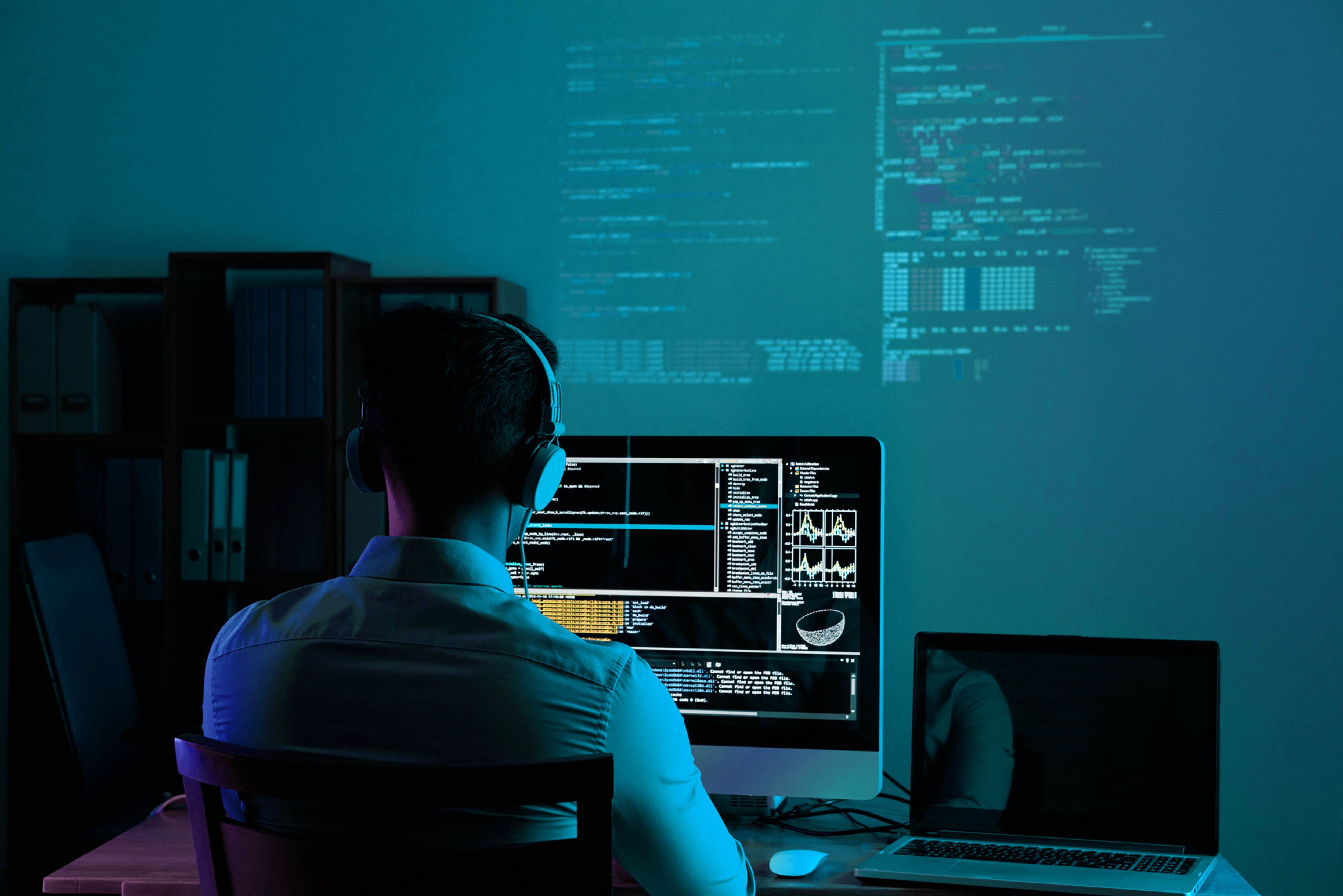 MINIMUM REQUIREMENTS FOR SOFTWARE DEVELOPER visual data 7